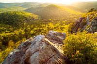 Flatside Pinnacle, Flatside Wilderness, Ouachita National Forest.