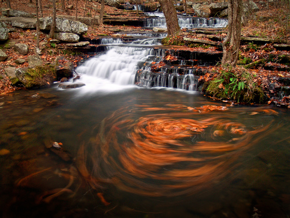 Leaves caught in a swirl at Collins Creek, near Greers Ferry Lak
