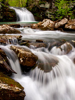 Bear Creek, Ozark National Forest.