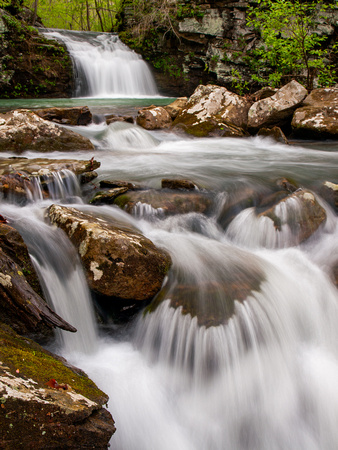 Bear Creek, Ozark National Forest.