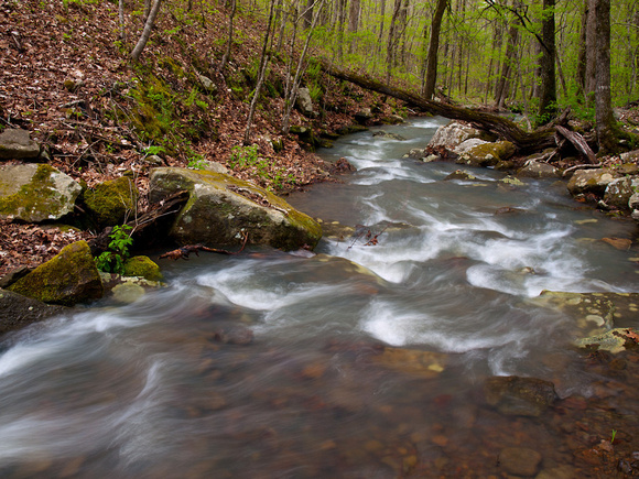 Stream near Brushy Fork