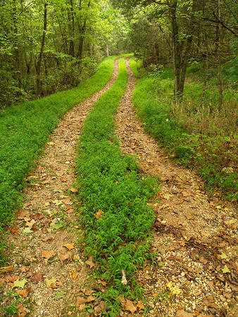Old road by the Parker-Hickman Farmstead